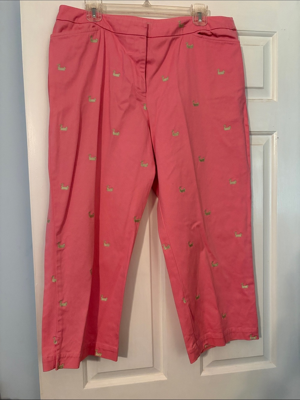 Duck Head Pink Capri Pants with Green Embroidered Motifs
